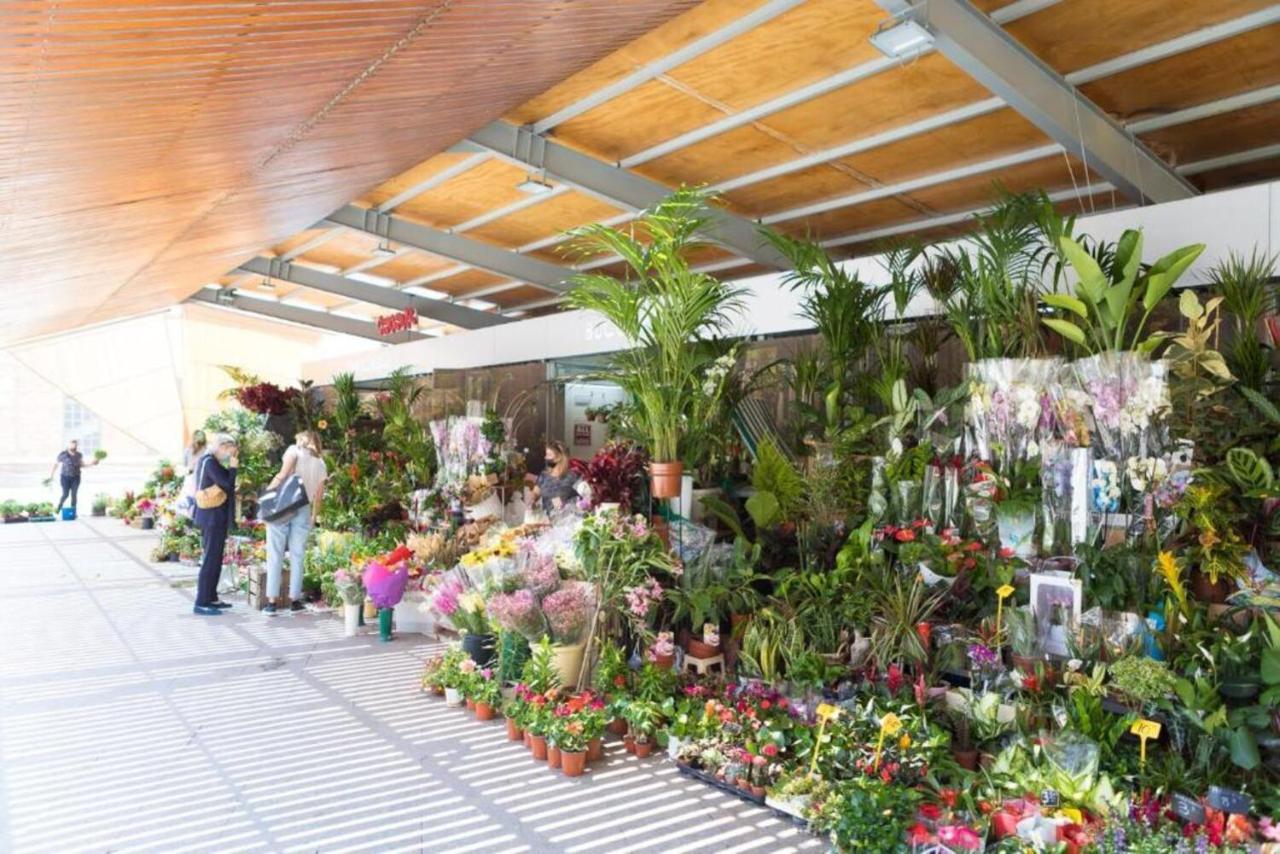 Moonkey - Apartamento El Mercado لقنت المظهر الخارجي الصورة